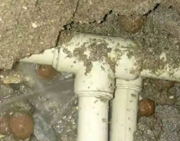 娄星测漏水多少钱