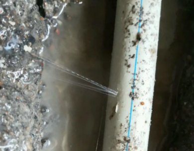 娄星测漏水哪家好