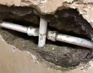 娄星测漏水哪家好