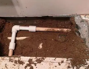 娄星测漏水哪家好