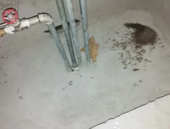 娄星卫生间测漏水价格明细