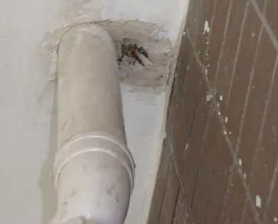 娄星漏水检测哪家好